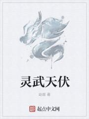 灵武大陆天宗