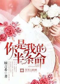 你是我的半条命讲了什么故事