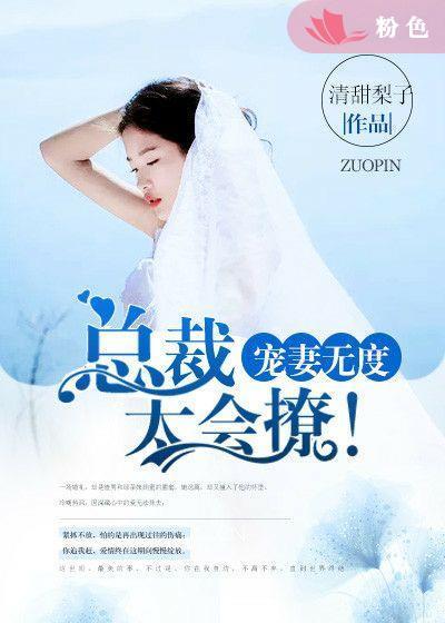 宠妻无度总裁狠缠绵全文免费阅读