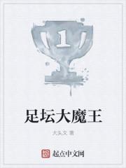 足坛大魔王木子柒7txt