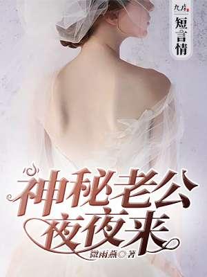 神秘老公夜里来txt