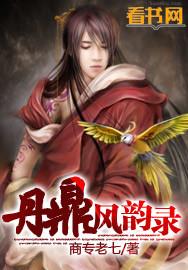 丹鼎集团股份有限公司