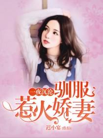 一夜沉沦之驯服惹火娇妻
