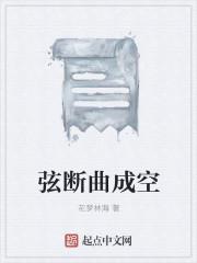 啥断啥弦成语