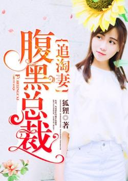 腹黑总裁追妻记