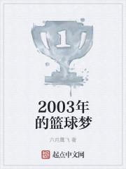 2003男篮