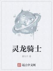 龙灵骑士的