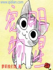 宠物大名