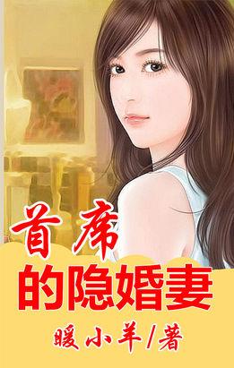 首席的隐婚妻是一部什么