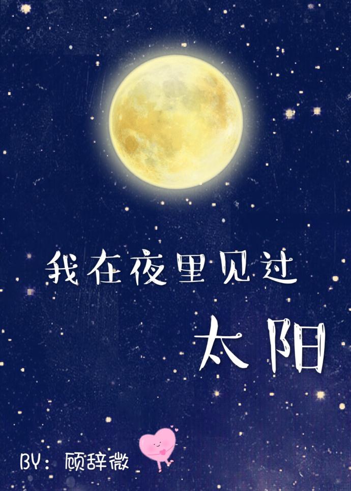 我再夜里见过太阳