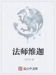 小法师维迦技能