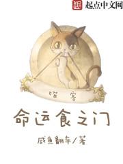 命运石之门图片