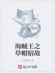 海贼王之草帽元帅 撇石