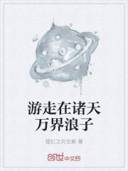 游荡在诸天的行者