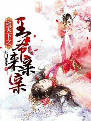 天下第一盗神偷王妃