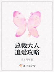 总裁大人也追星