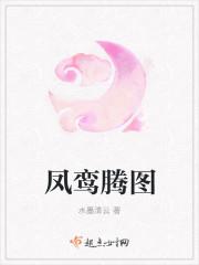 鸾凤图简介