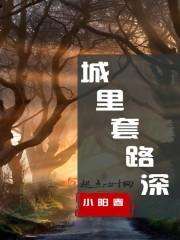 城里套路深是什么歌