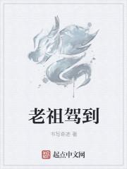 老祖驾到南枫