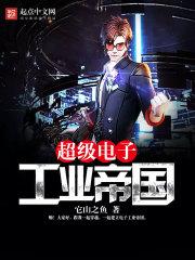 超级电子工业帝国txt八零电子书