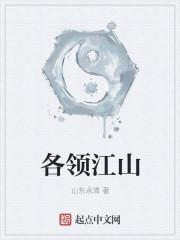 江山各有才人出各领