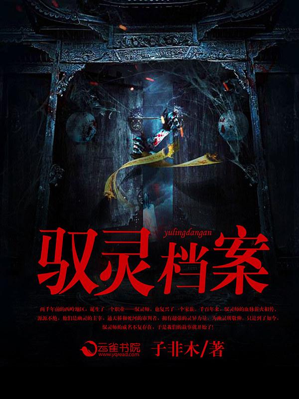 驭灵师17