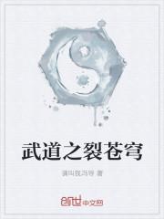 武裂苍穹全文阅读