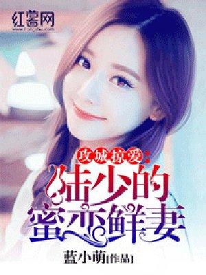 陆少的秘密恋人正版全文免费阅读