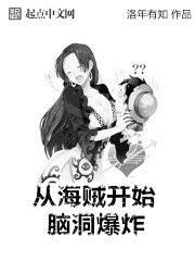 从海贼开始转动磁场目录