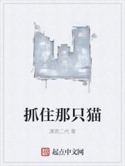 抓住那只猫的18游戏内容介绍