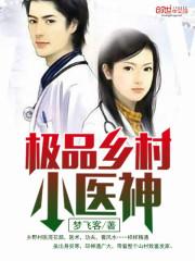 极品乡村小神医免费阅读