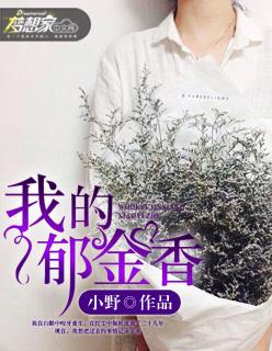 我的郁金香小姐经典