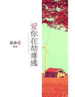 爱你在劫难逃 免费阅读