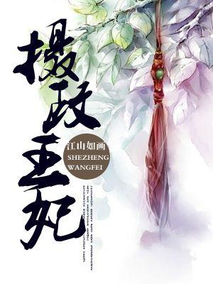 摄政王妃她又美又飒裴焱晏无双