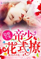 帝少狂宠隐婚妻