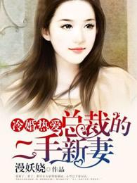冷少的二婚新妻