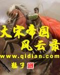大宋风云录答案