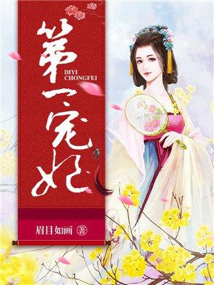 第一宠妃书籍