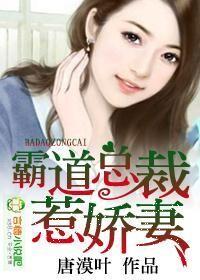 霸道总裁娇妻火辣辣