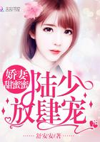 陆少宠妻甜蜜蜜免费