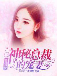蚀骨闪婚神秘总裁的私宠全文免费阅读全文