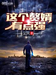 这个女婿有点猛txt