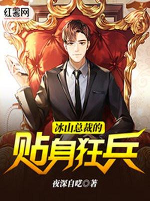 冷艳总裁的绝世兵王