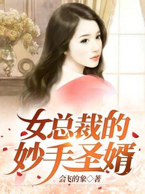 女总裁的妙手圣医