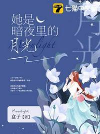 她是暗夜里的月光陆颜汐免费阅读