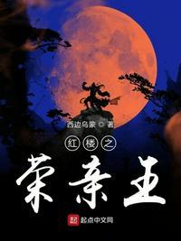红楼荣亲王笔趣阁