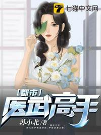 都市医武高手 有声