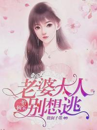 叶南弦沈蔓歌743章