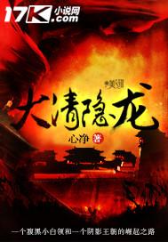 大清隐龙讲的什么