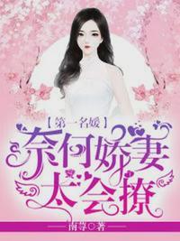 第一名媛盛莞莞凌霄532
